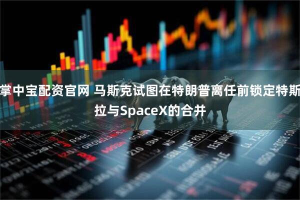 掌中宝配资官网 马斯克试图在特朗普离任前锁定特斯拉与SpaceX的合并
