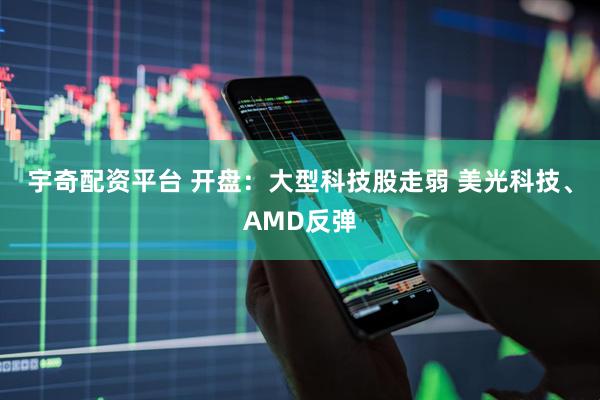 宇奇配资平台 开盘：大型科技股走弱 美光科技、AMD反弹